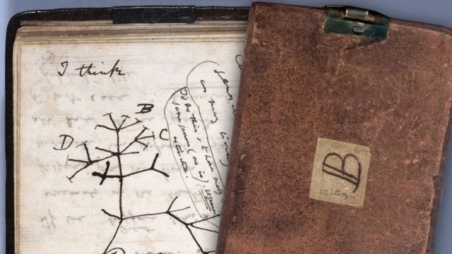Επιστράφηκαν-μυστηριωδώς-στο-Κέιμπριτζ-δύο-σημειωματάρια-του-Δαρβίνου-που-εξαφανίστηκαν-για-20-χρόνια